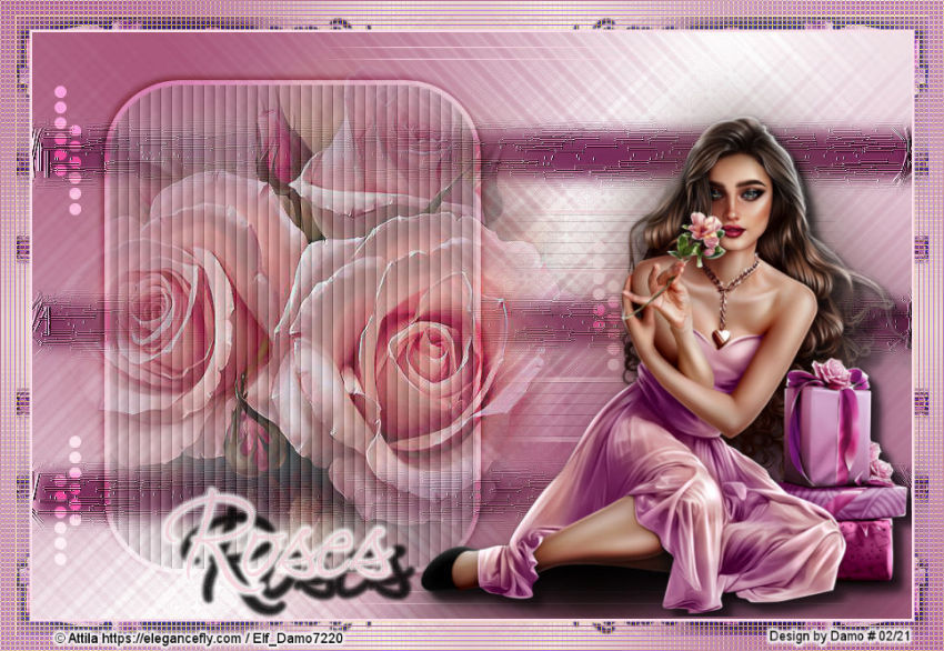 image23kk6u.jpg