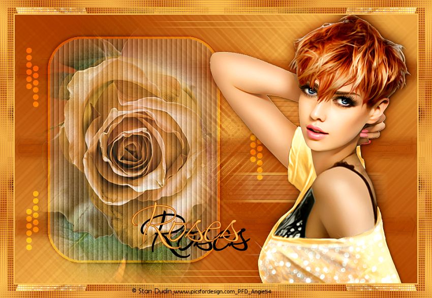 rosesyojxo.jpg