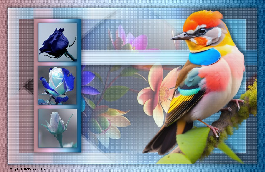 birdomcy4.jpg
