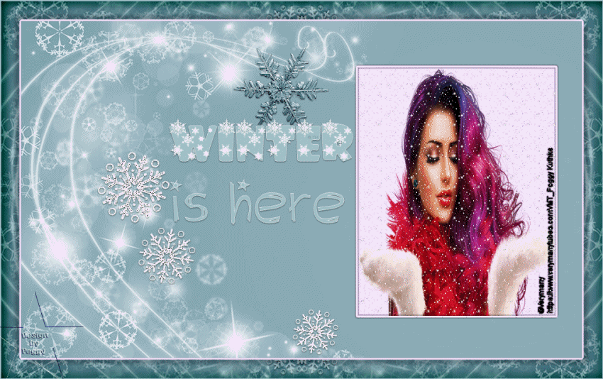 sternchen06-winterish1jk4a.gif